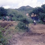 Experimental Farming, possibly L'Esterre.