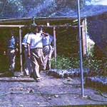 Nursery Beds under cover.