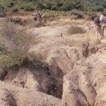 Gully erosion at Bellvue South.